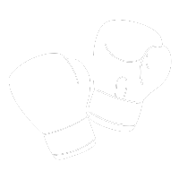 Icon Boxing