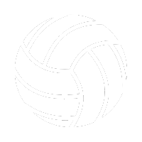 Icon Volleyball